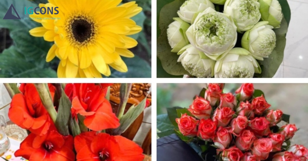 hoa cúng động thổ