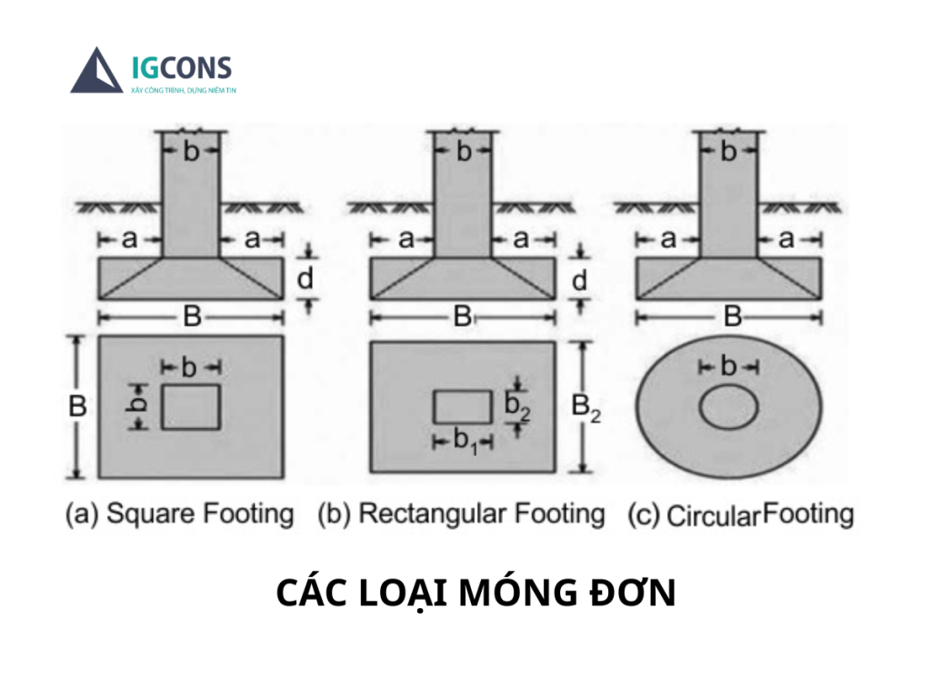 các-loai-mong-don-hien-nay