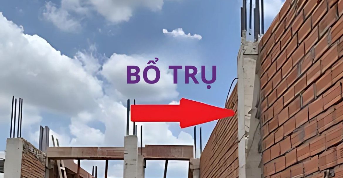 bo-tru-tuong-la-gi