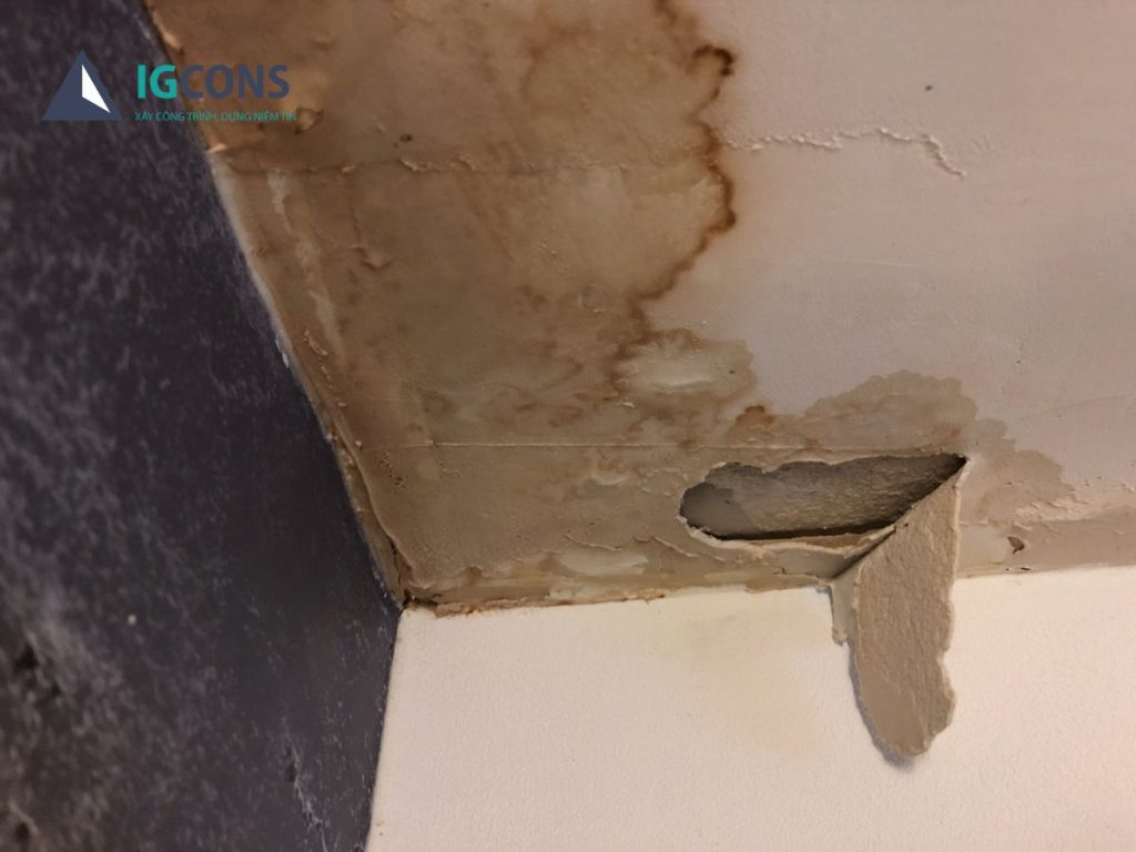 thấm dột mái sẽ gây trong bóc